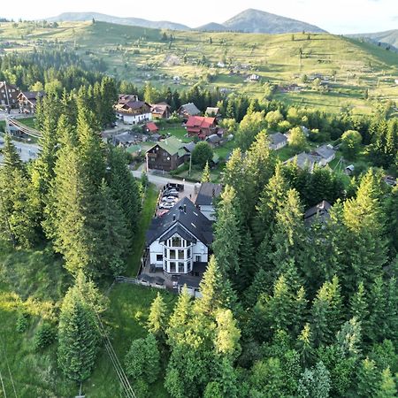Alpiyskiy Яблоница Экстерьер фото