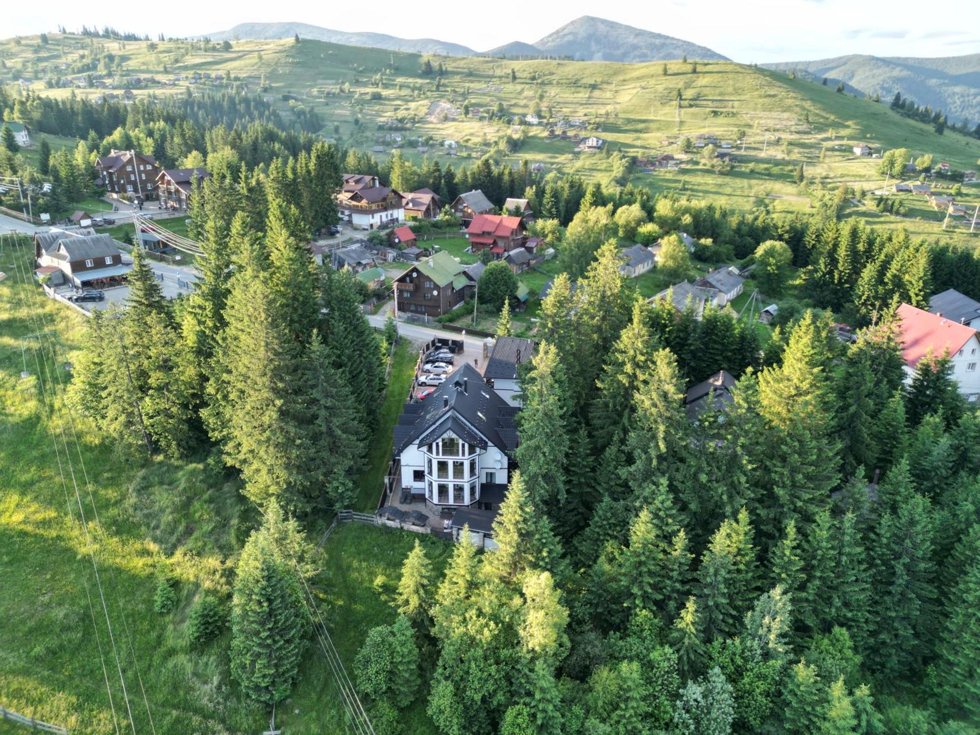 Alpiyskiy Яблоница Экстерьер фото